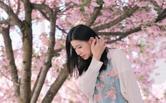 无翼乌全彩之爆乳漫画